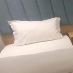 هتل قصر الضیافه (المناهل) نجف