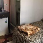 هتل سعید تهران
